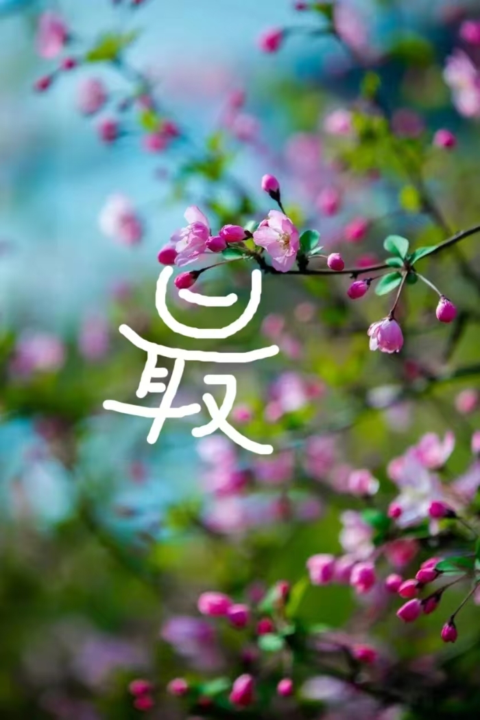 &#23436;&#32654;&#20307;&#32946;